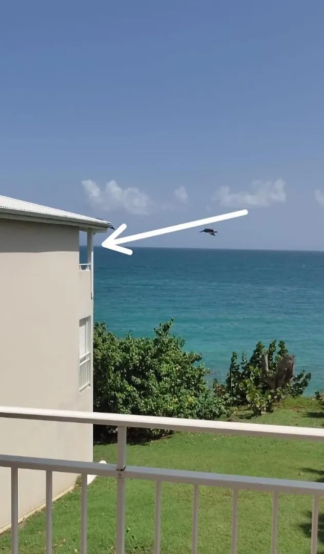La Case A Meline Le Gosier  Guadeloupe